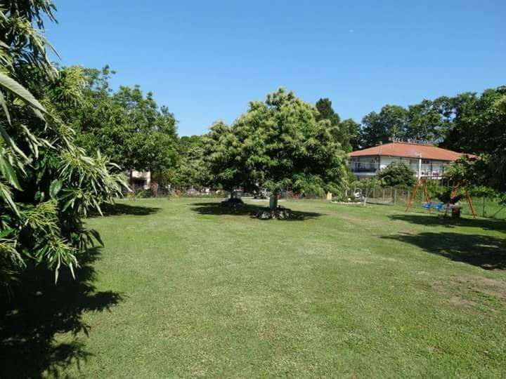 Stilos Ioannis Apartment Paralia Skotinis