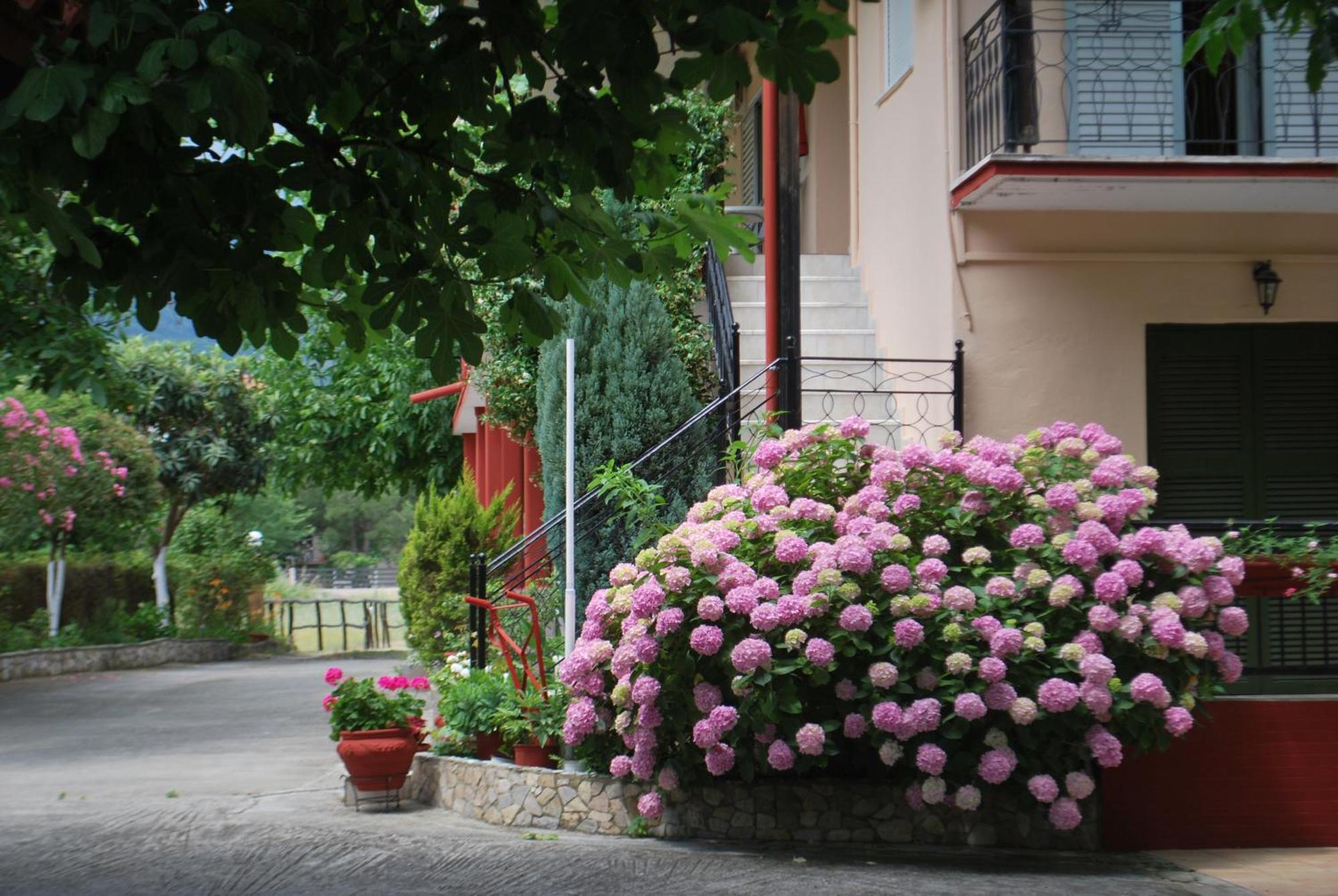 Stilos Ioannis *