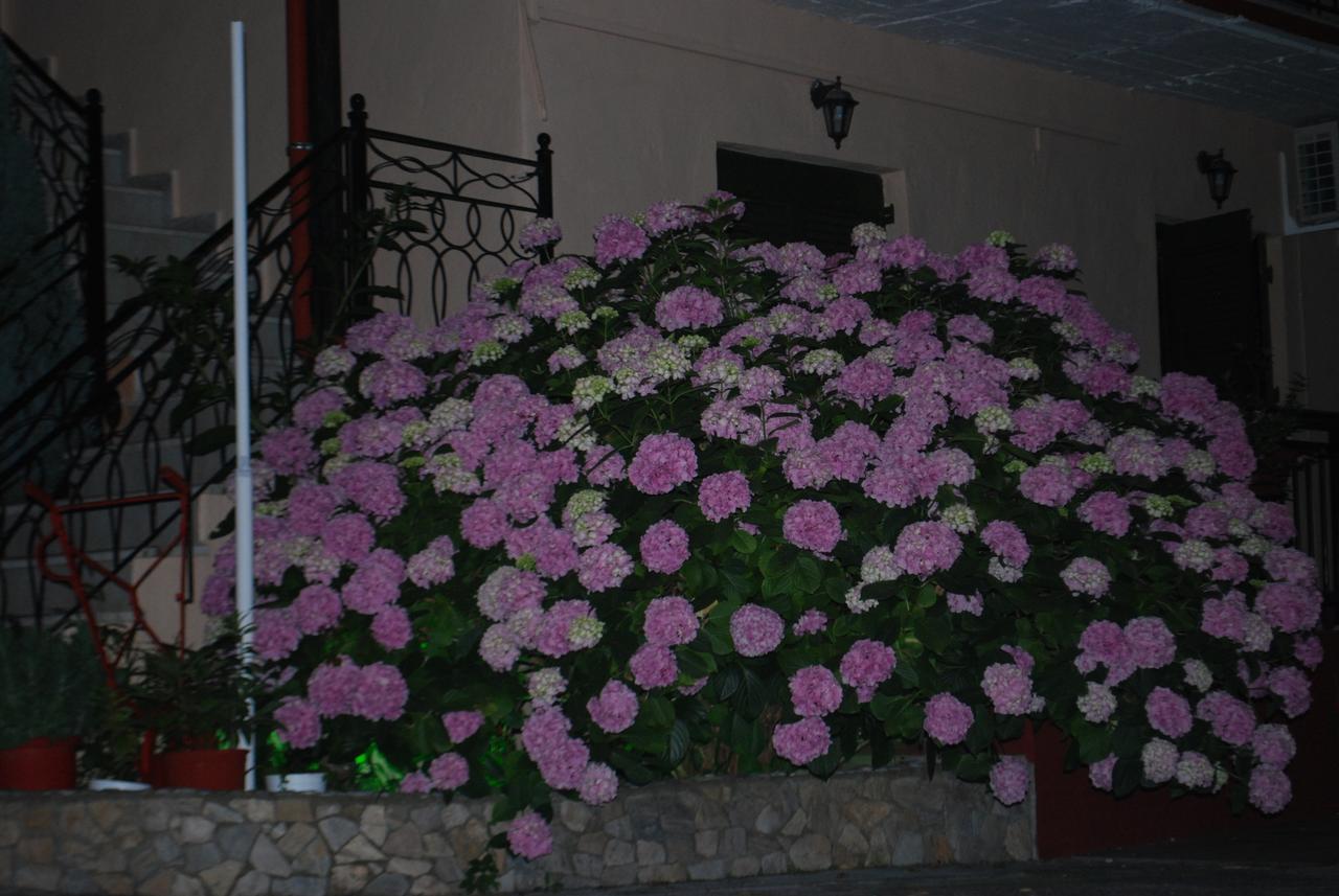 Stilos Ioannis Apartment