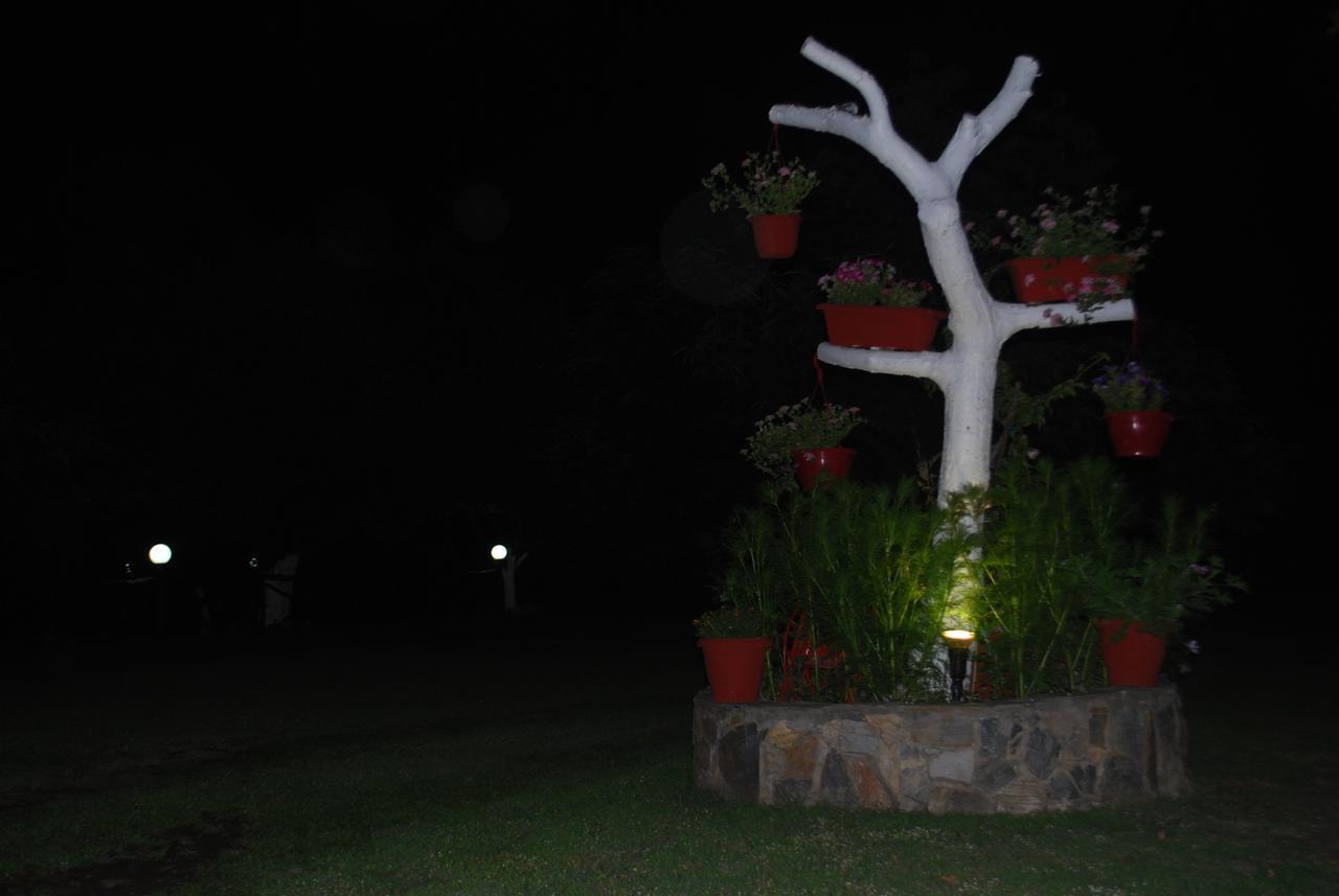 Stilos Ioannis *